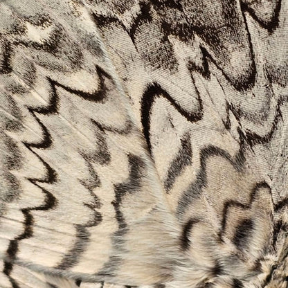 Moth Wing Pattern Drawing Gloves for Tablet