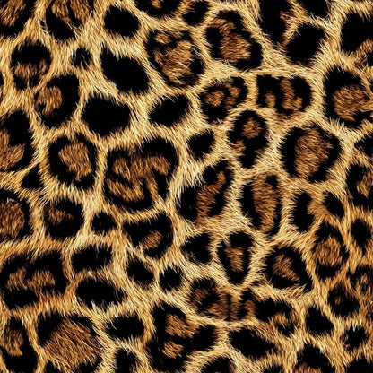 Close-up of a leopard print pattern