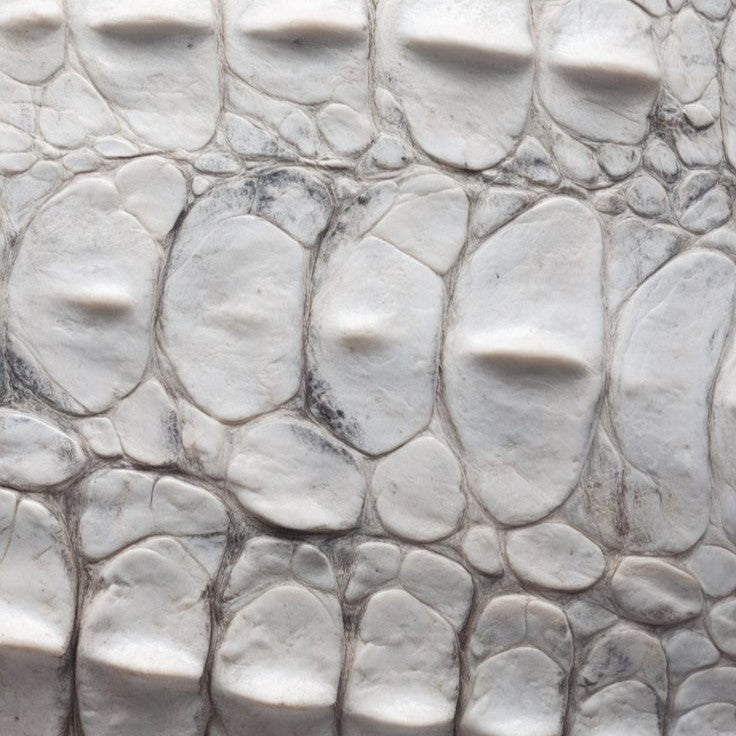 Close-up of textured white stone surface