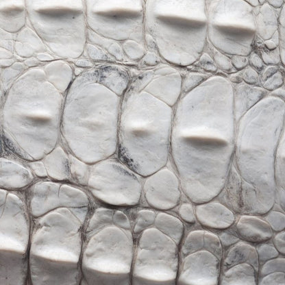 Close-up of textured white stone surface