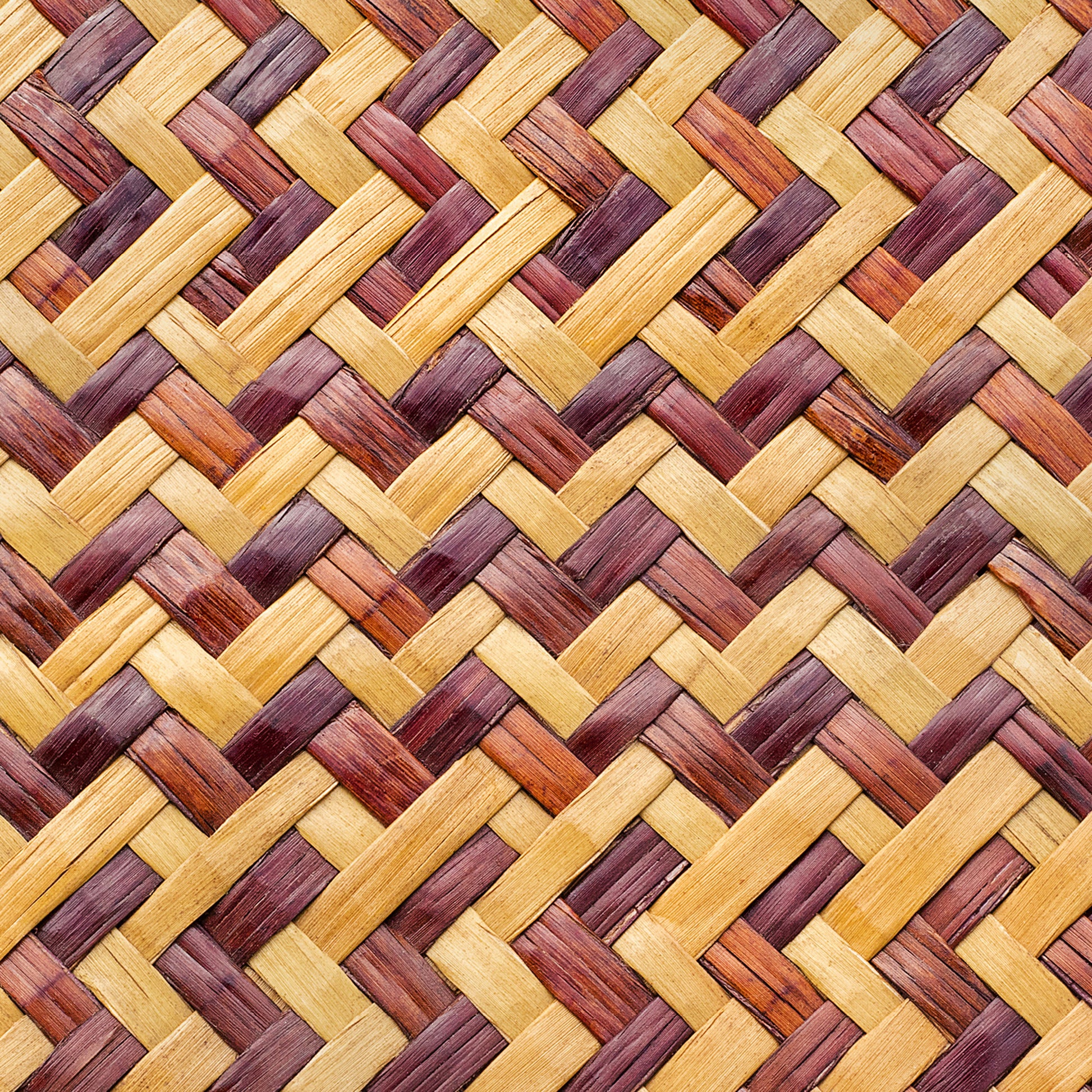 Rattan Mat Artse gloves template perfect for use in art, graphics, and fashion.